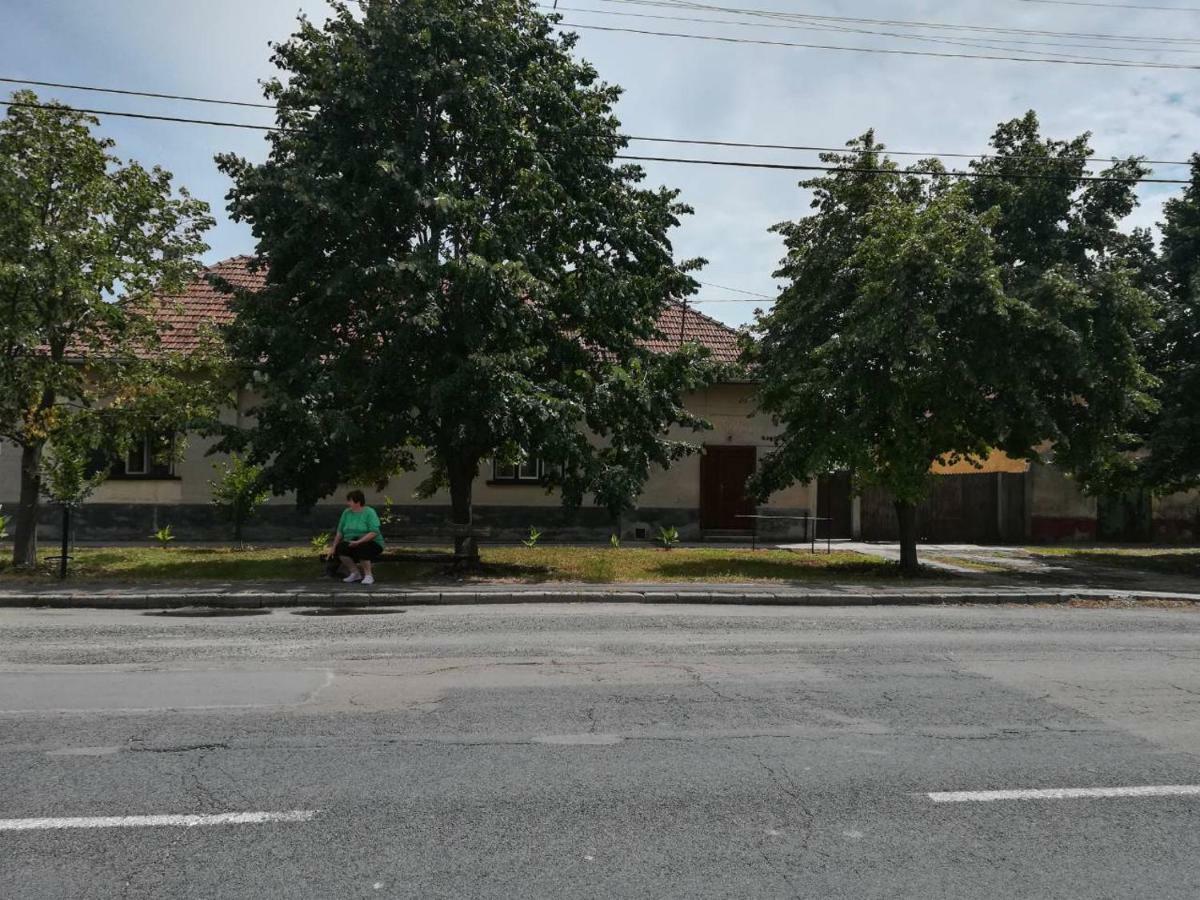 Harsfak Villa Mezokovacshaza Exteriör bild