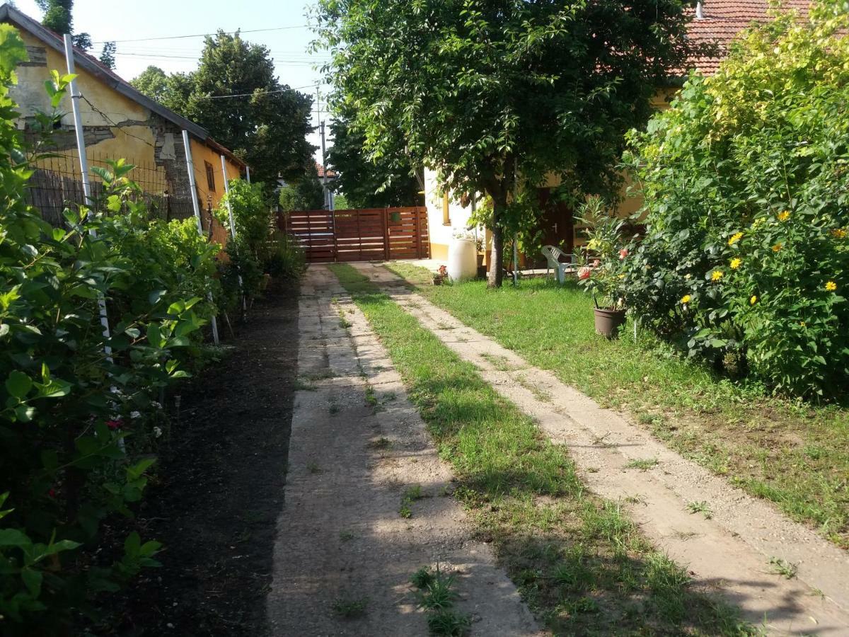 Harsfak Villa Mezokovacshaza Exteriör bild